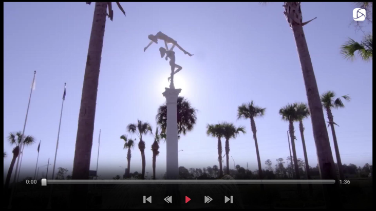 Visit Florida screenshot
