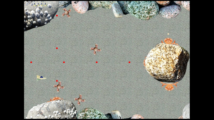 Sea Glass Beach Blaster screenshot