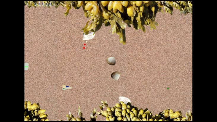 Sea Glass Beach Blaster screenshot